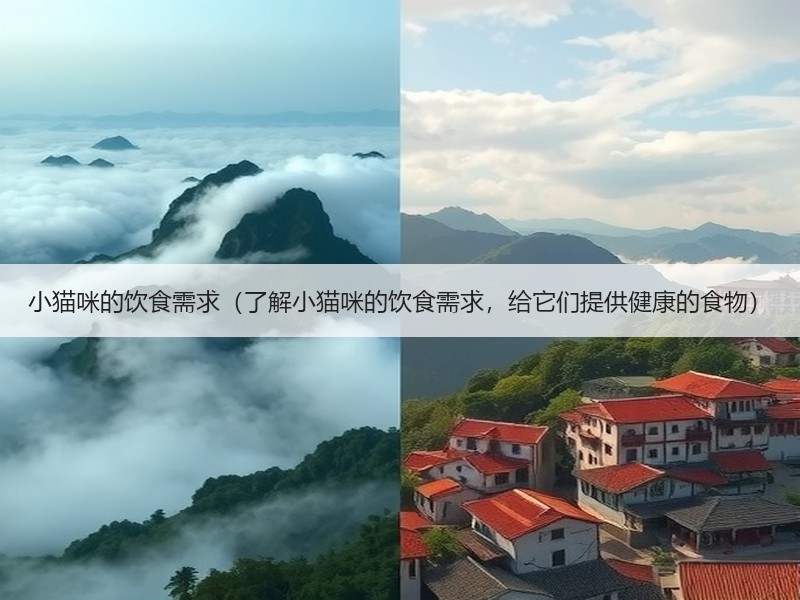 小猫咪的饮食需求（了解小猫咪的饮食需求，给它们提供健康的食物）