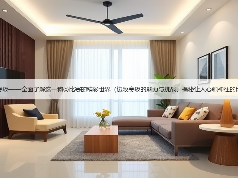 探索边牧赛级——全面了解这一狗类比赛的精彩世界（边牧赛级的魅力与挑战，揭秘让人心驰神往的比赛场景）