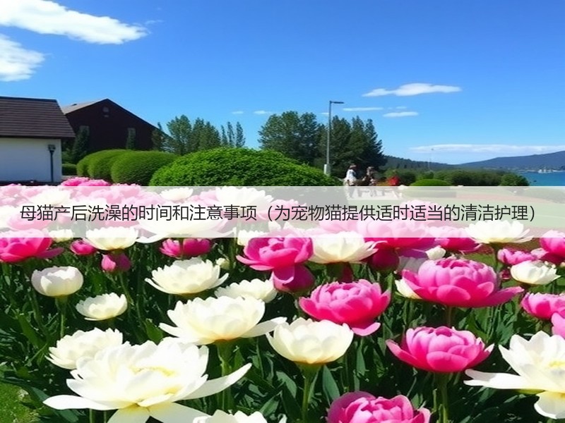 母猫产后洗澡的时间和注意事项（为宠物猫提供适时适当的清洁护理）