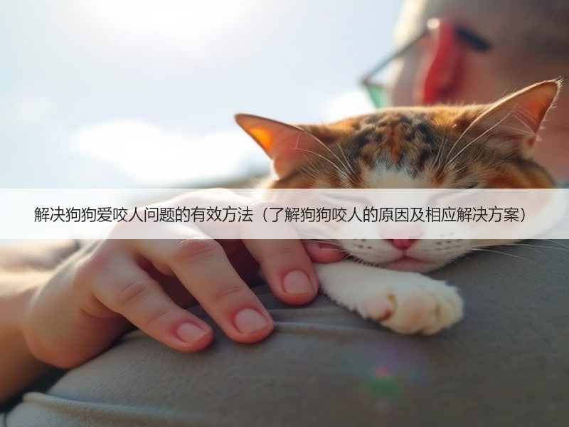 解决狗狗爱咬人问题的有效方法（了解狗狗咬人的原因及相应解决方案）