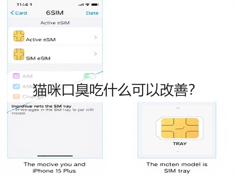 猫咪口臭吃什么可以改善？