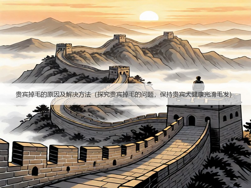 贵宾掉毛的原因及解决方法（探究贵宾掉毛的问题，保持贵宾犬健康光滑毛发）