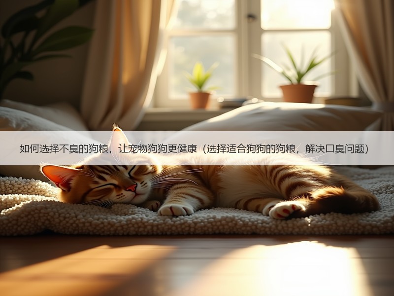 如何选择不臭的狗粮，让宠物狗狗更健康（选择适合狗狗的狗粮，解决口臭问题）