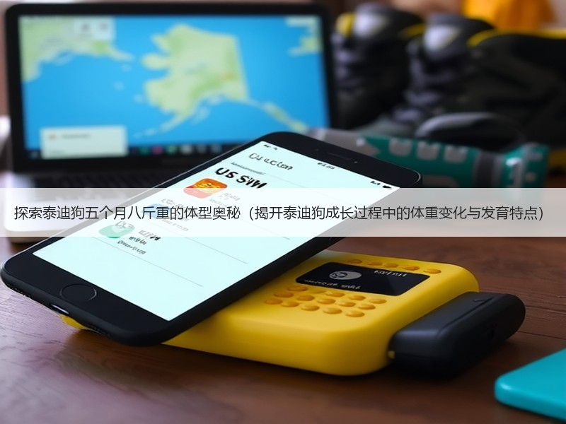 探索泰迪狗五个月八斤重的体型奥秘（揭开泰迪狗成长过程中的体重变化与发育特点）