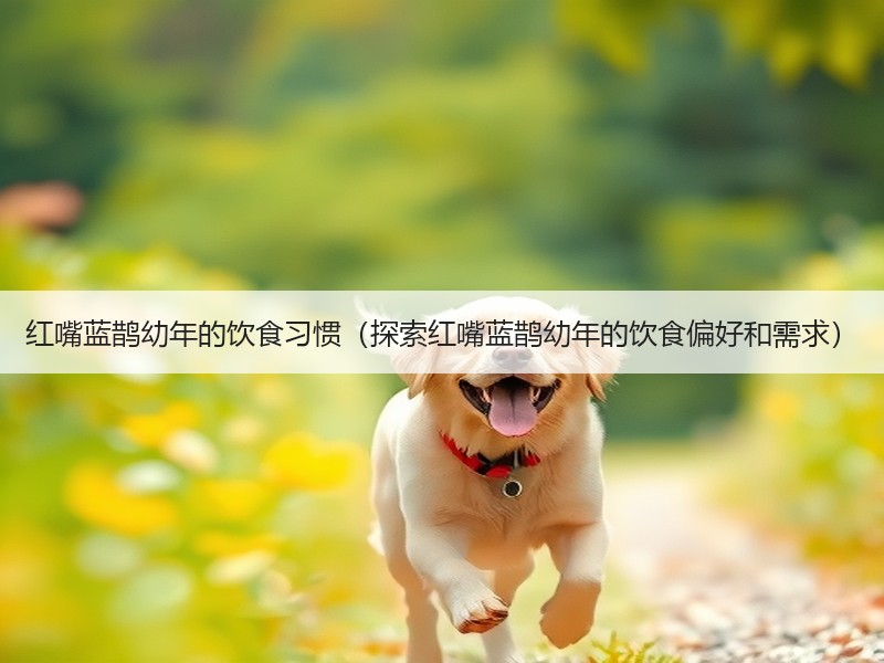 红嘴蓝鹊幼年的饮食习惯（探索红嘴蓝鹊幼年的饮食偏好和需求）