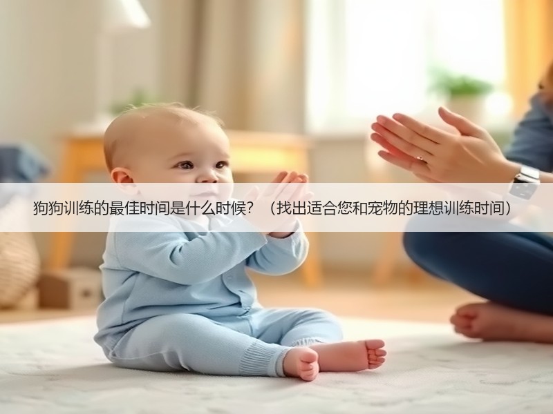 狗狗训练的最佳时间是什么时候？（找出适合您和宠物的理想训练时间）